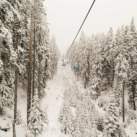 O'key! * Bansko